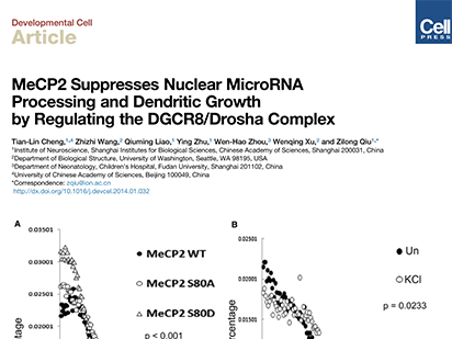 Cheng T, et al. MeCP2 Suppresses Nuclear MicroRNA Processing and Dendritic Growth by Regulating the DGCR8/Drosha Complex. Dev Cell.?2014 Mar 10;28(5):547-60. (IF=14.08)