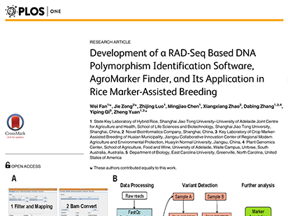 Fan W, et al. Development of a RAD-Seq Based DNA Polymorphism Identification Software, AgroMarker Finder, and Its Application in Rice Marker-Assisted Breeding. PLoS One.?2016 Jan 22;11(1):e0147187. (IF=3.057)