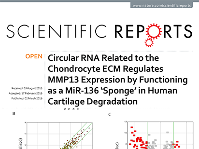 Liu Q, et al. Circular RNA Related to the Chondrocyte ECM Regulates MMP13 Expression by Functioning as a MiR-136 ‘Sponge’ in Human Cartilage Degradation. Sci Rep.?2016 Mar 2;6:22572. (IF=5.578)