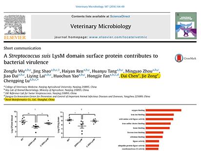 Wu Z, et al. A Streptococcus suis LysM domain surface protein contributes to bacterial virulence. Vet Microbiol.?2016 May 1;187:64-9. (IF=2.564)