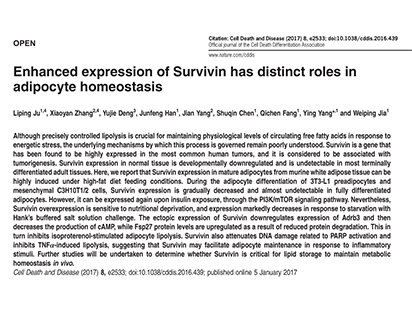 Ju L, et al. Enhanced expression of Survivin has distinct roles in adipocyte homeostasis. Cell Death Dis.?2017 Jan 5;8(1):e2533.（IF=5.965）