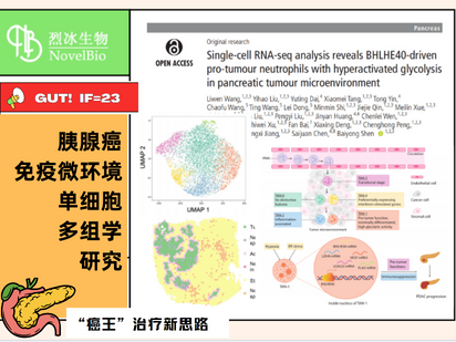 GUT重磅來襲！單細胞+空轉(zhuǎn)+免疫熒光的王炸組合，烈冰助力交大醫(yī)學(xué)院研究團隊解析胰腺癌免疫微環(huán)境