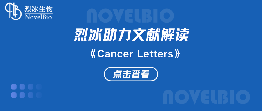 【烈冰助力】單細(xì)胞RNA-seq揭示了轉(zhuǎn)移性腎細(xì)胞癌的異質(zhì)性和抗血管生成治療在胰腺轉(zhuǎn)移性病變中的作用