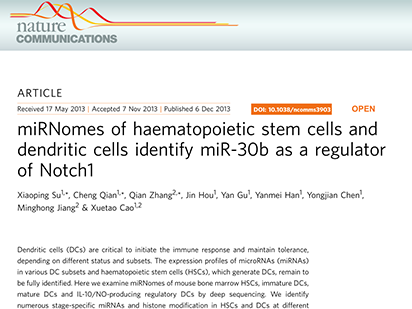 Su X, et al. miRNomes of haematopoietic stem cells and dendritic cells identify miR-30b as a regulator of Notch1. Nat Commun.?2013 Mar;4:2903. (IF=10.02)